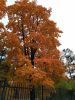 IMG_20191005_093809.thumb.jpg.008ca4323a28502dc9c869ab9bfdf7bb.jpg