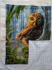 IMG_20191005_201811.thumb.jpg.a410228ec30530f70cfbea00ec74397a.jpg