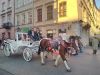 IMG_20191006_171525.thumb.jpg.82fc5a85410259edcb7b57662ca6353f.jpg