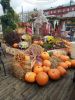IMG_20191011_124917.thumb.jpg.e0dd4fd09b2c7ce8ca56747224aabe94.jpg