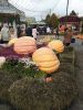 IMG_20191011_125951.thumb.jpg.25d8ff57c983c2befd0950f49a6c415b.jpg