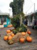 IMG_20191011_125958.thumb.jpg.48d744198be359130f0e32691d9228e0.jpg