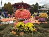 IMG_20191011_130025.thumb.jpg.ed3d3722a7a2180bd3087f2f57fe8613.jpg