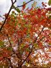 IMG_20191012_115650.jpg