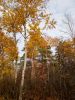 IMG_20191012_133715.jpg