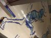 IMG_20191012_141637.thumb.jpg.bba3e31aa57bb723523bae64b22ff95a.jpg