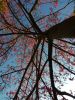 IMG_20191012_172126.thumb.jpg.2d46054e508036139d74a8e941edec33.jpg