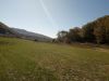 IMG_20191014_124024.thumb.jpg.d72f4ae2f220541cddb5542468135375.jpg
