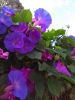 IMG_20191014_131223.thumb.jpg.a9439600bc947470123b94c2cd0c655a.jpg