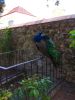 IMG_20191014_140019.thumb.jpg.a1a7e3b86d648e75592a1383129301e4.jpg