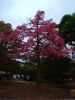 IMG_20191017_184252.thumb.jpg.f4b0ff7dd0b59b16f4680082fe797e3f.jpg