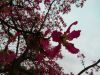 IMG_20191017_184320.thumb.jpg.168cf7f17112f51e3b4084245dad0cde.jpg