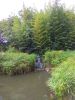 IMG_20191019_134450.thumb.jpg.746a792e090dcfb5c0798e12ad1b47dc.jpg