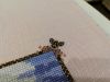 IMG_20191029_205120.thumb.jpg.59989d048ec609a768d6ff4c8d218db1.jpg