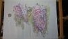 IMG_8124.thumb.JPG.a57b76e39dbf62fad43d0ea8df90b15c.JPG