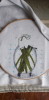 IMG_8721.thumb.PNG.e917dc2eba377746d7810563e3e590e6.PNG
