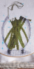 IMG_8722.thumb.PNG.f6b2a63c15669ebd4e2aeb4f5b018bc7.PNG