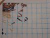 Koi1.JPG.82fb7cad6eb90f7776fa2fc90d0d3855.thumb.jpg.bdd7b0726f8d88d517f4c1993fcab02d.jpg