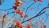 Qlq-AX4vb-4.thumb.jpg.28cf0510aa3906ab57b6832d4b8c04c3.jpg