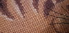 image.thumb.png.cf894460764937b72866287e7a125a79.png