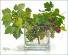 sakuhin_09.thumb.jpg.00226e4a203ff6f0b0eaafee2e572545.jpg