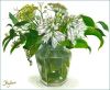 sakuhin_11.thumb.jpg.aca24b212b50a1f0772122038dddf288.jpg