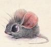 1.thumb.jpg.4914d173c68075e19c04e419c3f08de1.jpg