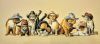 1475339396_08.thumb.jpg.5fc0918e8a8f6135ff5ffd59c9478c55.jpg