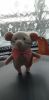 1564356892_20191104_114046.thumb.jpg.015ddcc1f44b4ed06f9983c3bffb4dd4.jpg