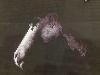 2.thumb.JPG.a94d7610a19d1a99ed1e34f181c687df.JPG