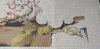 20190817_143310.thumb.jpg.034baafbc52d8a14e147f8fc77ecf8c5.jpg