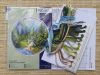20190919_154128.thumb.jpg.ab83906d2ae8155dc2960cbf64f7fc38.jpg