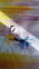 20191105_114258.thumb.jpg.6341bc1de5cb070855d83912af6065b1.jpg