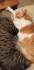 20191108_181458.thumb.jpg.ebe7ae6d7924976a59341f7a0fd2ee00.jpg