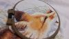 20191114_075827.thumb.jpg.f6e16d17edcccd4f285dbccdb908ff7d.jpg