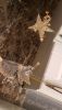 20191119_222245.thumb.jpg.4db084aaf985dd678310d638744b9500.jpg