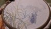 20191123_170647.thumb.jpg.e6093118adbff7c8a4f5a459bfa7b736.jpg
