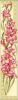 3455.thumb.jpg.dee01b6a49409df60cfd9bd48a93eefa.jpg