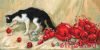 36617.thumb.jpg.b06abd47dc0bac0793967ff0b1adae2c.jpg