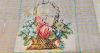 380680729_G388Cocuflori_4.thumb.jpg.77a6514130935571389a7c0b70e080a8.jpg