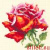 46327.thumb.jpg.4f48b35408988f3aae3cae5e2a1d0d3c.jpg