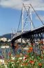 78897adcd7a3000bd1571a6d39cc3c06--santa-catarina-south-america.thumb.jpg.ac57909664af79920e55dc9e22f15229.jpg