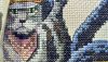 8.thumb.jpg.cdd3b953ff644b85ba4a1d44066e80a7.jpg