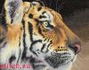 Dimensions 35171, Величественный тигр (Королевский тигр, Regal Tiger)