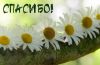 955230444_.thumb.jpg.301a4e98277743b82a6bab7bb8d1bee2.jpg