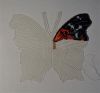 Butterfly10-1.JPG.be8bc66374dc4919ee95d5fd515df9c3.thumb.jpg.ef613c54bdf5b79f014005b91dbfe7f1.jpg