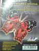 Butterfly10.thumb.jpg.2a380df786d437bbd12b5f37e0d31e9e.jpg