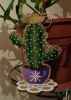 Cactus1-4.thumb.JPG.4a3cad50305576cabf0c93e070091de4.JPG