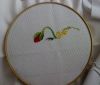 DSC00602.thumb.JPG.9b4a68b248f0cd14d365874666350008.JPG