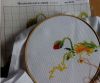 DSC00604.thumb.JPG.76884914770c211d51604e6893b8d1d4.JPG